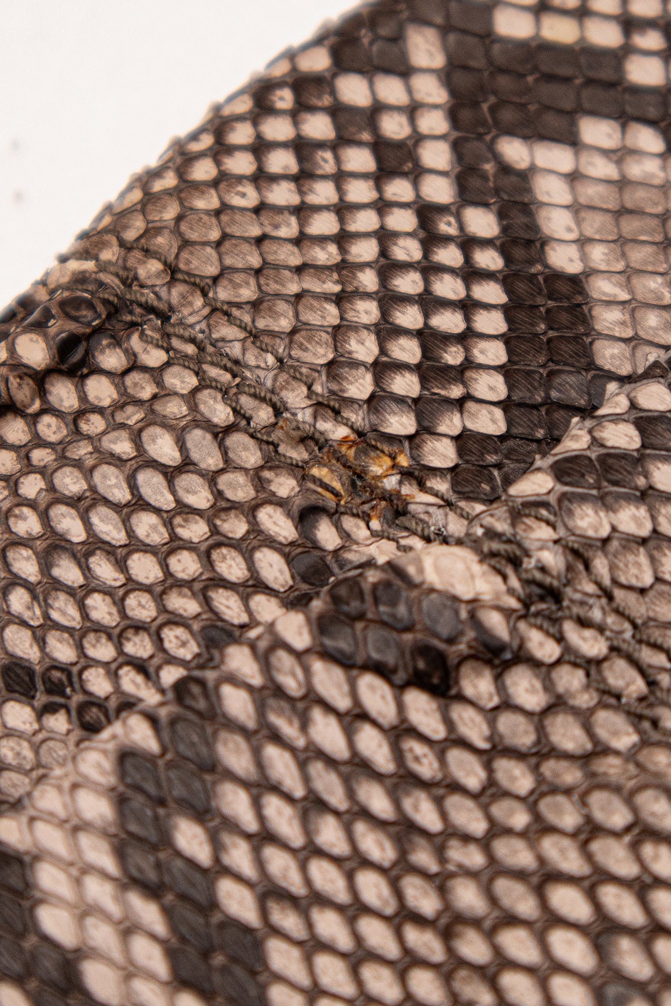 Pochette Bally