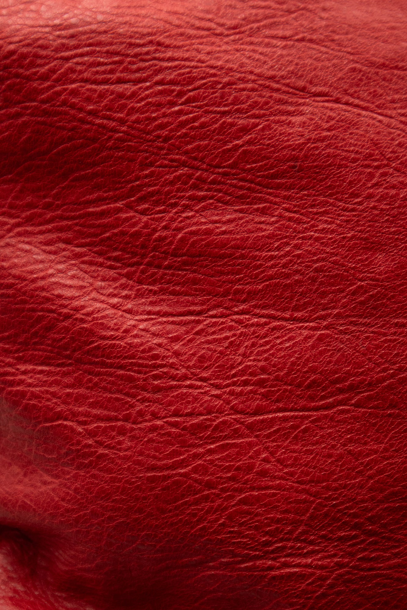 Borsa Balenciaga